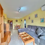 Terrasol Zeus *